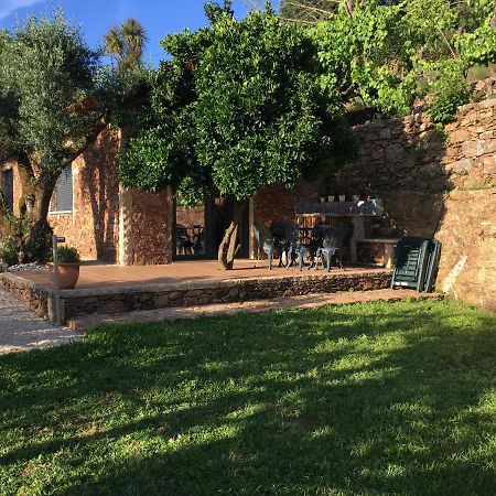 Casa Da Pena Villa Mondim de Basto Eksteriør billede